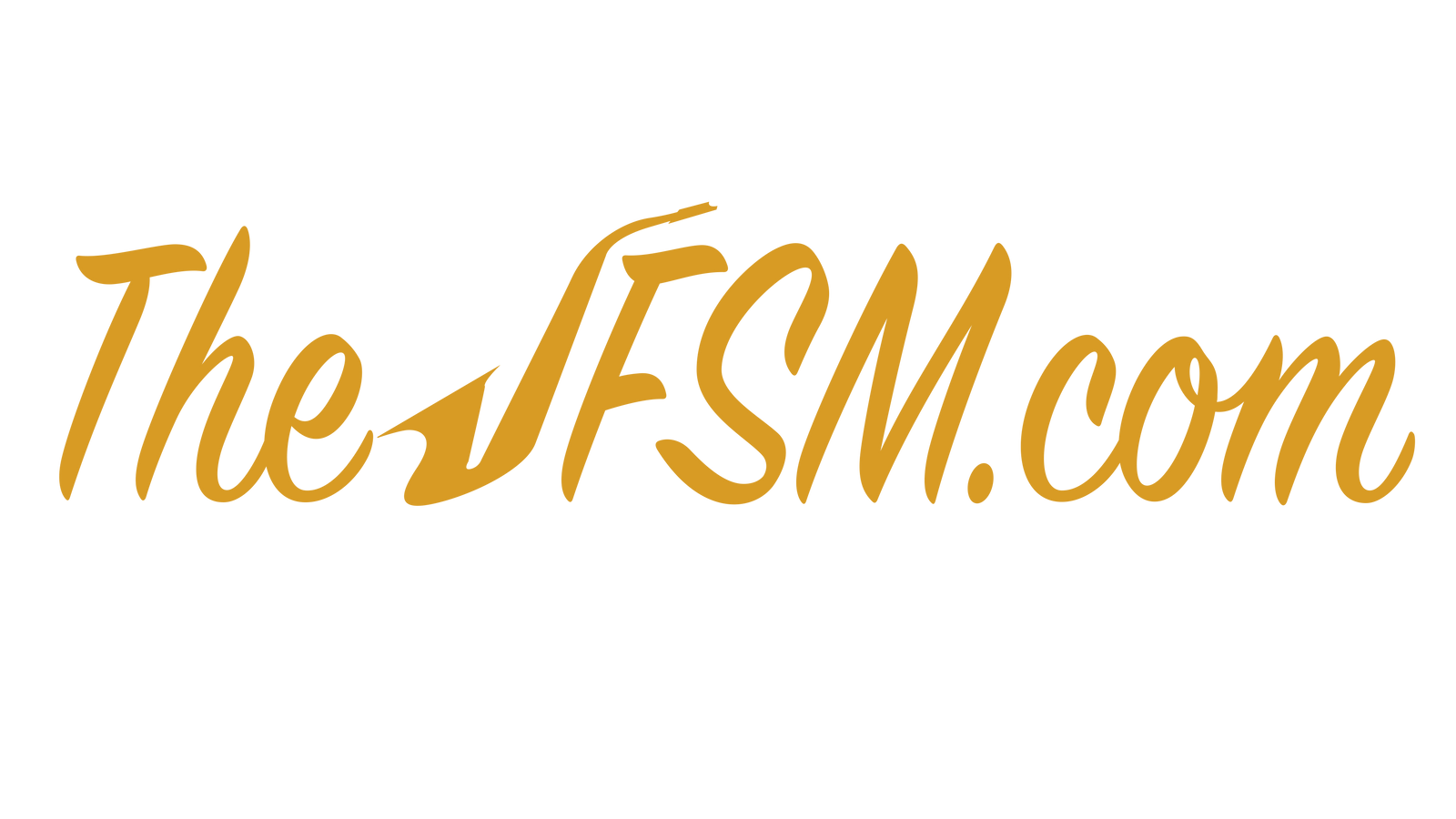 The JFSM